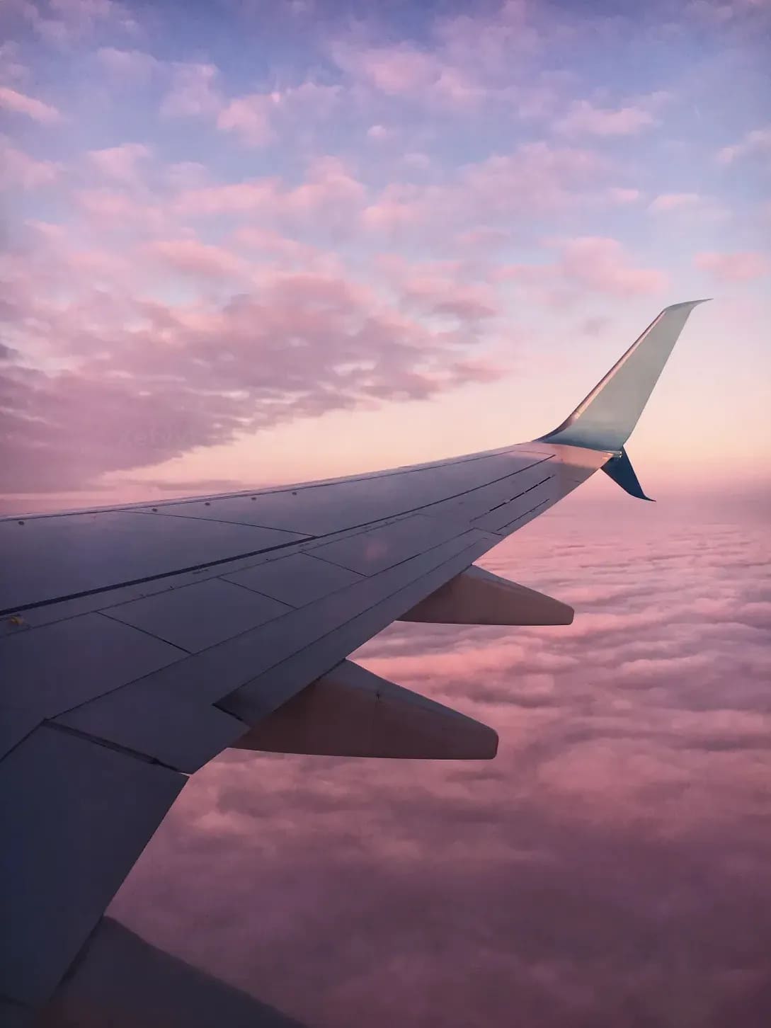Xetvyt Travel 5